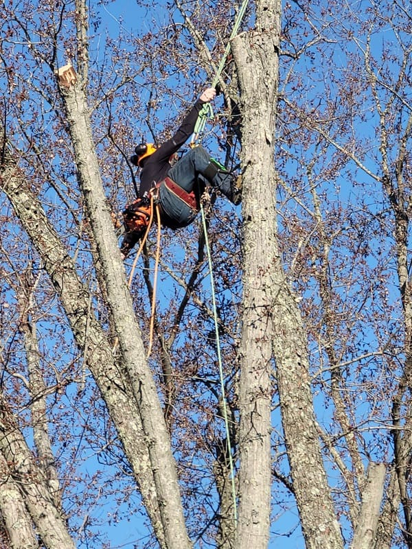 BEAR CLAWS OUTDOORS